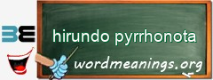 WordMeaning blackboard for hirundo pyrrhonota
